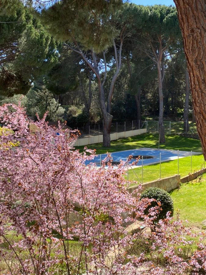 Apt Romantico Con Chimenea Con Fibra Optica Y Terraza San Martin de Valdeiglesias Bagian luar foto